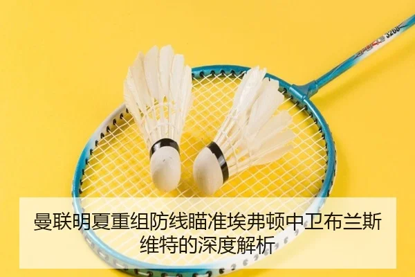 曼联明夏重组防线瞄准埃弗顿中卫布兰斯维特的深度解析